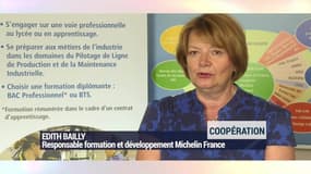 CEIG : Les initiatives de l'année de Michelin