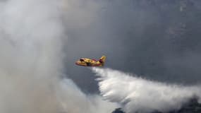 Un Canadair en action en Corse, le 25 juillet. (photo d'illustration)