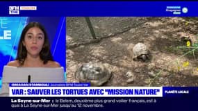 Planète locale du lundi 6 novembre - Var : sauver les tortues avec "Mission nature" 