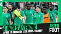 Rachat de l'AS Saint-Etienne : A quoi doivent s'attendre les supporters des Verts ?