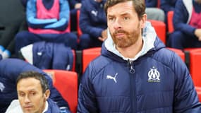 Andre Villas-Boas