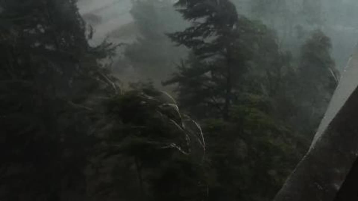 placeholder video