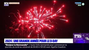 Normandie: 2024, une grande année pour le D-Day