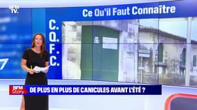 Story 2 : Jusqu’à 40 degrés attendus lors de la période de canicule - 13/06