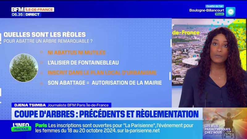 Île-de-France: quelle est la réglementation sur l'abattage d'arbres dans les communes? (1/1)