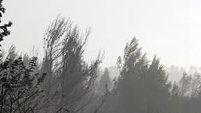 Trois personnes ont été mises en examen dans l'enquête sur l'incendie qui a détruit plus de 900 hectares de forêt et de broussailles à la fin du mois de juillet dans les Bouches-du-Rhône, à la suite de la mise à feu d'une Porsche. /Photo prise le 25 juill