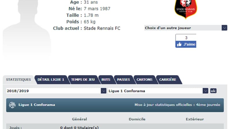 La fiche de Ben Arfa