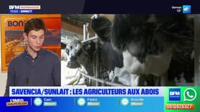 Savencia/Sunlait: les agriculteurs aux abois