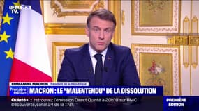"Front anti-républicain": les propos d'Emmanuel Macron font bondir LFI et le RN