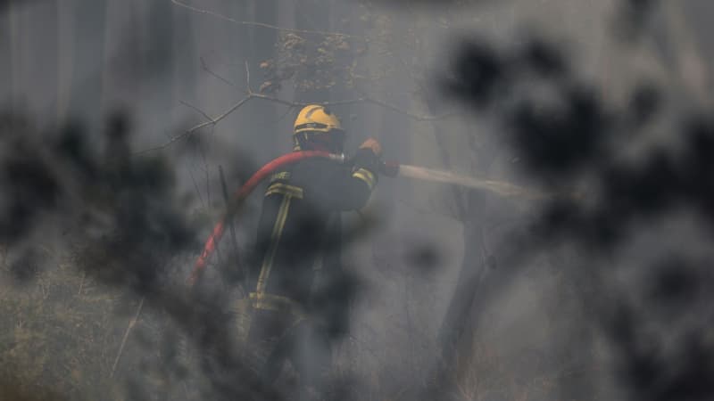 Incendie dans la Drôme: 378 hectares brûlés, le feu 