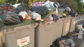 A Sagone, en Corse-du-Sud, en pleine crise des ordures ménagères. 