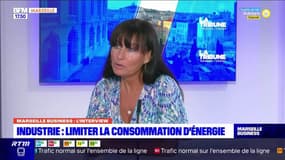 Marseille Business : Industrie : Limiter la consommation d'énergie.