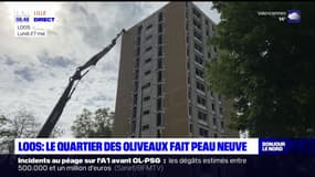 Nord: le quartier des Oliveaux fait peau neuve