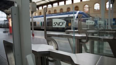 Au total, pendant la phase d'essai, 1 700 TGV, soit 325 000 clients, ont été contrôlés en passant par ces portiques. (Photo d'illustration).