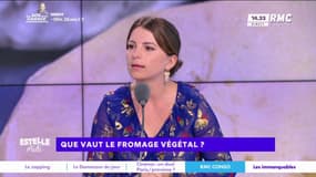 Que vaut le fromage végétal ?