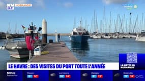 Balades normandes: un tour en bateau pour visiter le port du Havre avant de visiter "Bobo", un tiers-lieu à Bernay