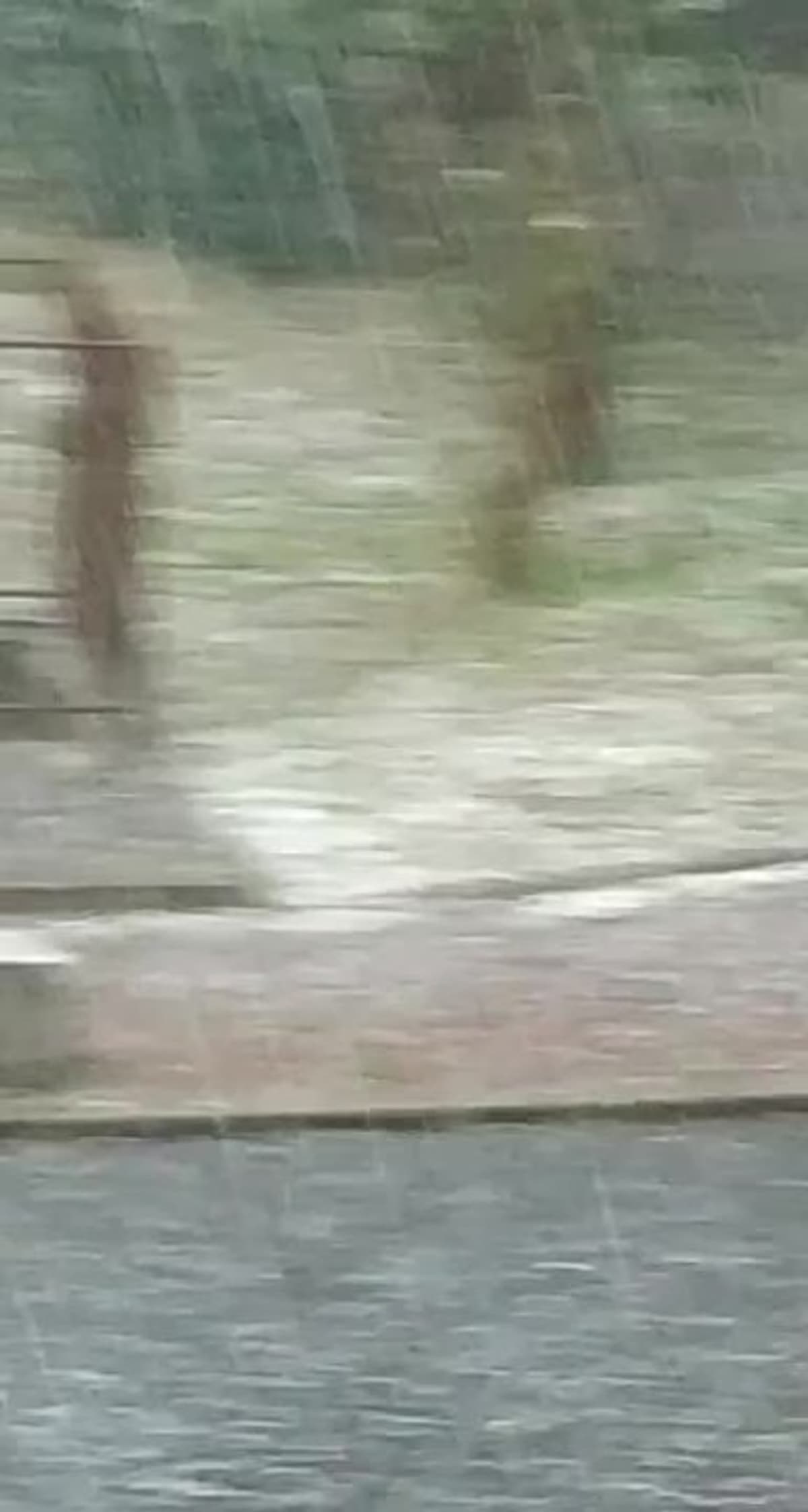 placeholder video