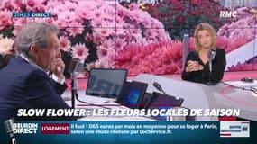 Dupin Quotidien : Slow flower, les fleurs locales de saison - 02/11