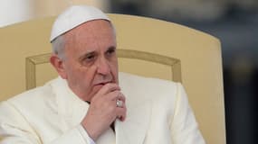 Le pape François lors de son audience générale à Rome le 22 janvier 2014.