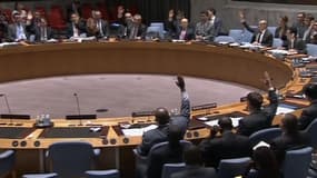 Les membres du Conseil de sécurité de l'ONU se sont prononcés à l'unanimité en faveur d'une intervention française en Centrafrique.