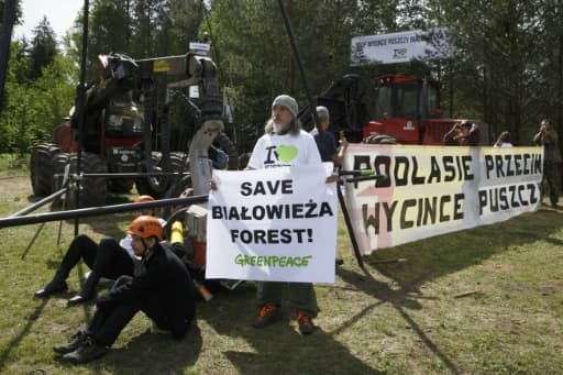 Des écologistes bloquent des engins forestiers utilisés pour la coupe des arbres de la forêt de Bialowieza (est de la Pologne), le 8 juin 2017