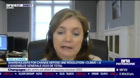 Sur le green : Comprendre l'engagement actionnarial - 19/01