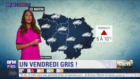 Météo Paris-Ile de France du 27 décembre: Un vendredi gris