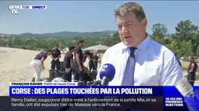 Des opérations de nettoyage ont lieu sur les plages de Corse après les dégâts causés par des boulettes de fioul  par 