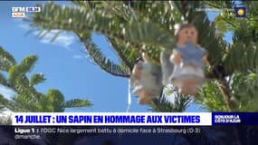 Nice: un sapin installé en hommage aux victimes de l'attentat du 14-Juillet