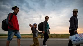 Des migrants qui marchent le long de la frontière Serbe-Hongroise.