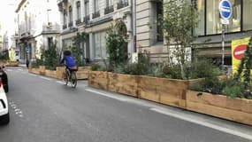 Les voitures seront interdites samedi à Lyon sur la Presqu'île.