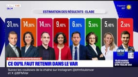 Le RN en tête, nouvelles élections législatives... Ce qu'il faut retenir des résultats des élections européennes dans le Var