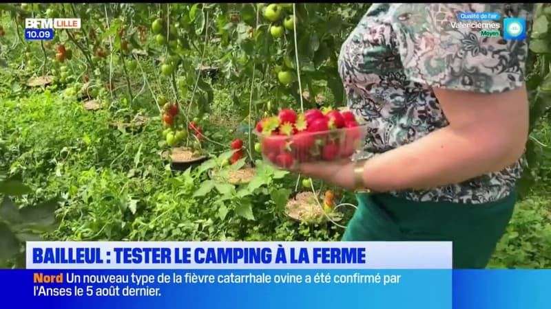 Bailleul: le camping à la ferme pour profiter des vacances