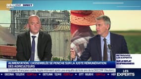Thierry Benoit (Député UDI d'Ille et Vilaine): "Les grands de la distribution ont organisé la guerre des prix et celui qui paie la facture à la fin, c'est l'agriculteur"