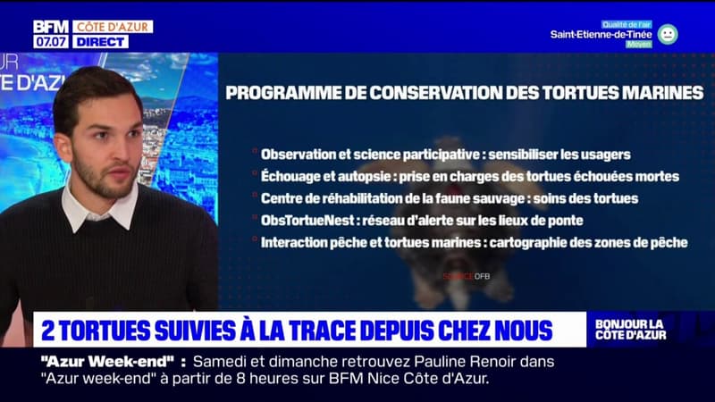 Provence-Alpes-Côte d'Azur: deux tortues suivies à la trace
