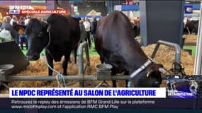 Salon de l'agriculture: le Nord et le Pas-de-Calais représentés