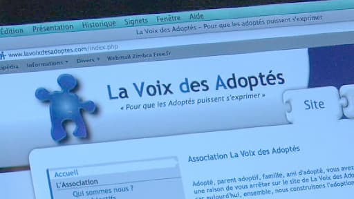 Les associations d'enfants adoptés, comme les adoptants, attendaient beaucoup du projet de loi famille.