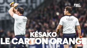 Rugby / Top 14 : Le carton orange, les explications