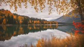 Une forêt au bord d'un lac, à l'automne.