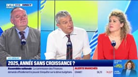 Nicolas Doze face à Jean-Marc Daniel : 2025, année sans croissance ? - 17/10