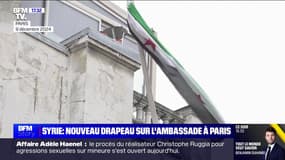 Syrie: le drapeau de la révolution hissé sur l'ambassade à Paris pour la première fois