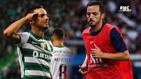 "Au PSG il y a des stars, au Sporting j’ai trouvé une famille" lâche Sarabia