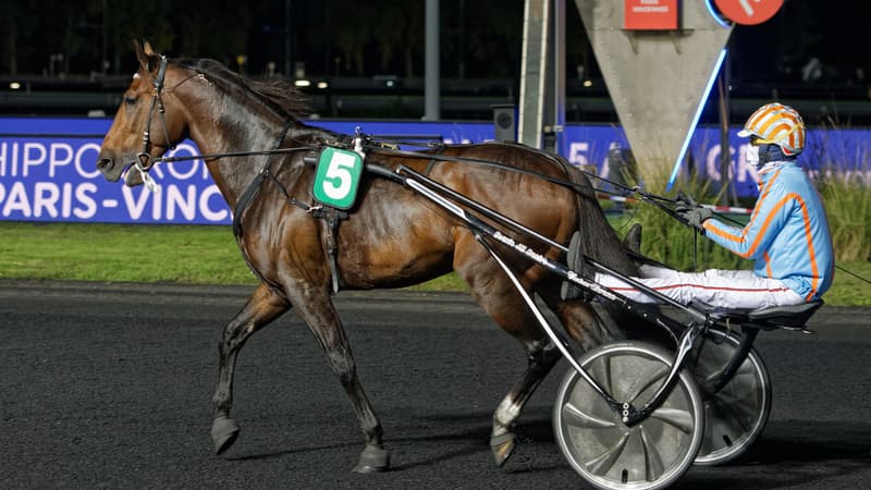 Feydeau Seven brille dans le Prix de Belgique