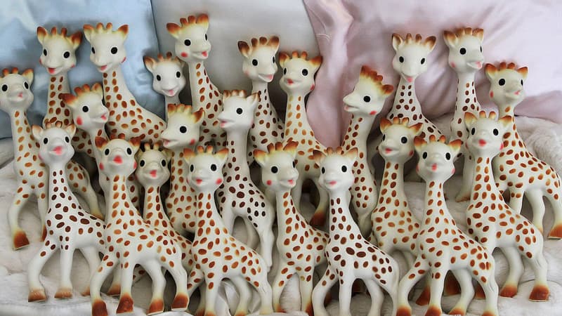 Eric Rossi, un ancien d'Hasbro et Crayola, devient directeur général de Vulli. Il devra veiller sur Sophie, la girafe préférée de enfants