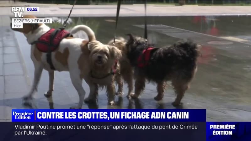 Un passeport ADN canin et une amende de 122 euros contre les crottes de chiens à Béziers