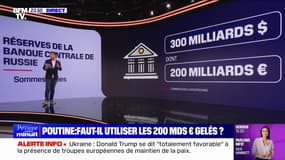 L'ŒIL DE RAPHAËL - Guerre en Ukraine: peut-on utiliser les 200 milliards d'euros d'avoirs russes, gelés depuis février 2022?