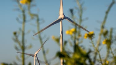 Ikea a racheté trois parcs éoliens situés dans l'Indre et l'Oise. (image d'illustration)