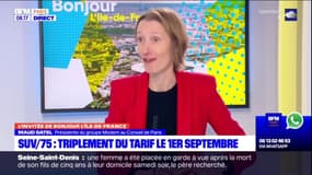 Votation sur les SUV: Maud Gatel, présidente du groupe Modem au conseil de Paris, estime que la manière dont la question a été posée est discutable