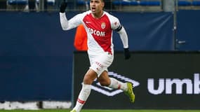 Falcao