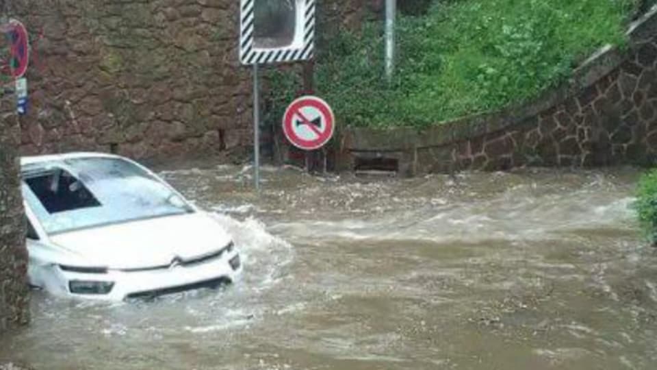 Bloquée sous un pont à Théoule-sur-Mer en raison des inondations ce samedi 10 février 2024, Josette témoigne après avoir été sauvée, avec son chien Sam.